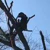 shiloh - @brian.shiloh - TikTok