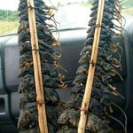 Brian shimps - @brianshimps - Instagram