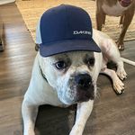 Brian Shockley - @bshockley_ - Instagram