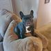 Brian Shoemaker - Facebook