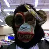 BRIAN SHOEMAKER - @brianshoemaker72 - TikTok