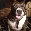 brianshugart777 - @brianshugart777 - TikTok