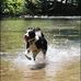 Brian Shumaker - Facebook