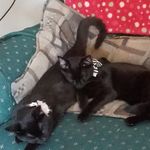 Brian Shumaker - @brian.shumaker.98 - Instagram