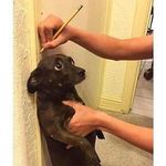 Brian Shutt - @orignlstoner420 - Instagram
