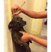 Brian Shutt - Facebook