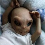 Brian shutt - @bshutt954 - Instagram