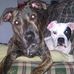 Brian Shutt - Facebook
