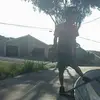 Bryan Sieben - @bryansieben - TikTok