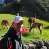 briansigmund - @briansigmund - TikTok