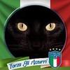 Brian Signor - @brian.signor - TikTok