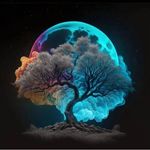 brian  silas ngoma - @briansilasngoma - Instagram