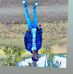 Brian Silas - Facebook