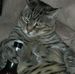 Brian Simao - Facebook