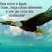 Bryan Simao - Facebook