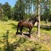 Brian Simington - Facebook