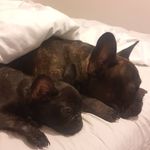 Barry & Brian Simmers - @barrysimmers17 - Instagram