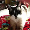 briannesimpkins - @briannesimpkins - TikTok