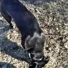 Brian Simpson - @brian.simpson51 - TikTok
