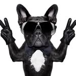 Brian Sinatra - @sinatra.brian - Instagram