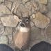 Brian Singer - Facebook