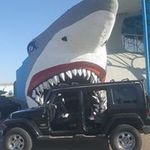 brian sinnott - @bsinnott553 - Instagram