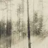 Brian Sipp - @briansipp - TikTok