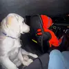 briansitxx - @briansitxx - TikTok