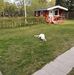 Brian Skov - Facebook