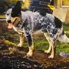 Brian Smith - @brian.smith051 - TikTok