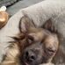Bryan Smits - Facebook