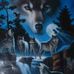 Brian Snavely - Facebook