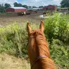 Brianna Snavely - @brianna.snavely - TikTok