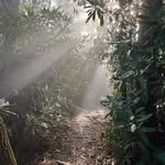 Brian Soper - @cripplecreekinit - Instagram