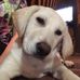 Brian Sorensen - Facebook