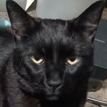 Brian Buzz Spaide - @brianbuzzspaide - Instagram
