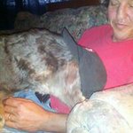 Brian Spainhower - @bds52808 - Instagram