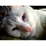 Brian Sparkman - @briansparkman - Instagram