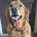 Brian Sparkman - Facebook