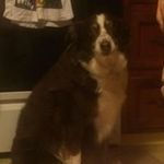 Brian Spatz - @brianspatz - Instagram