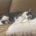 Brian Speake - Facebook