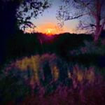 Brian Spear - @brian.spear.92 - Instagram