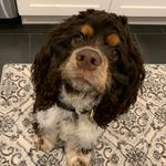 Brian Speedy - @brianspeedy5 - Instagram