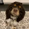 brianspeedy773 - @brianspeedy773 - TikTok