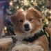 Bryan Speidel - Facebook