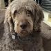 Brian Speirs - Facebook