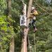 Brian Spellman - Facebook