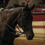 Brianna Sperduti - Facebook