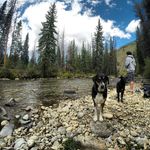 brian spies - @spiesbrian - Instagram