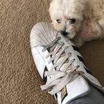 Brian Spies - @the.houseofela - Instagram